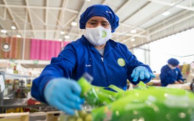 Agrícola Andrea is now a B Corp