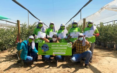 We recognize the best harvesters of the blueberry season!