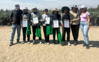 Pride and Talent: The Harvest Champions in Action!