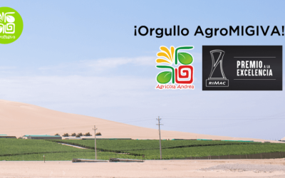 Agrícola Andrea gana el premio Rímac a la cultura preventiva 2021