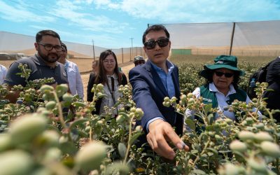 Orgullo Peruano para el Mundo: Un encuentro con representantes del Gobierno de China y SENASA en Pisco.